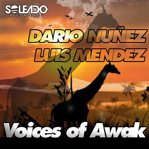 DARIO NUÑEZ - Voices of Awak
