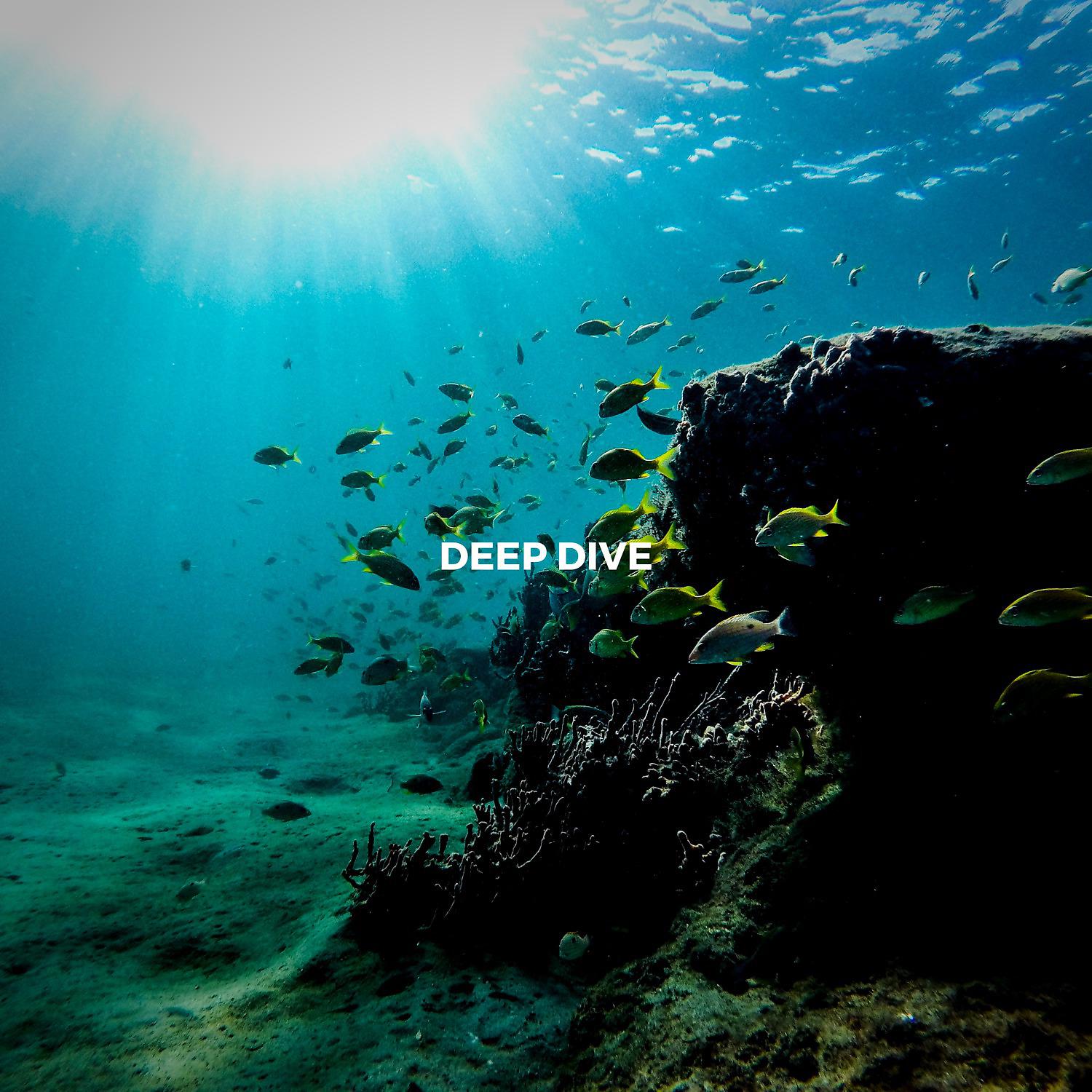 Постер альбома Deep Dive