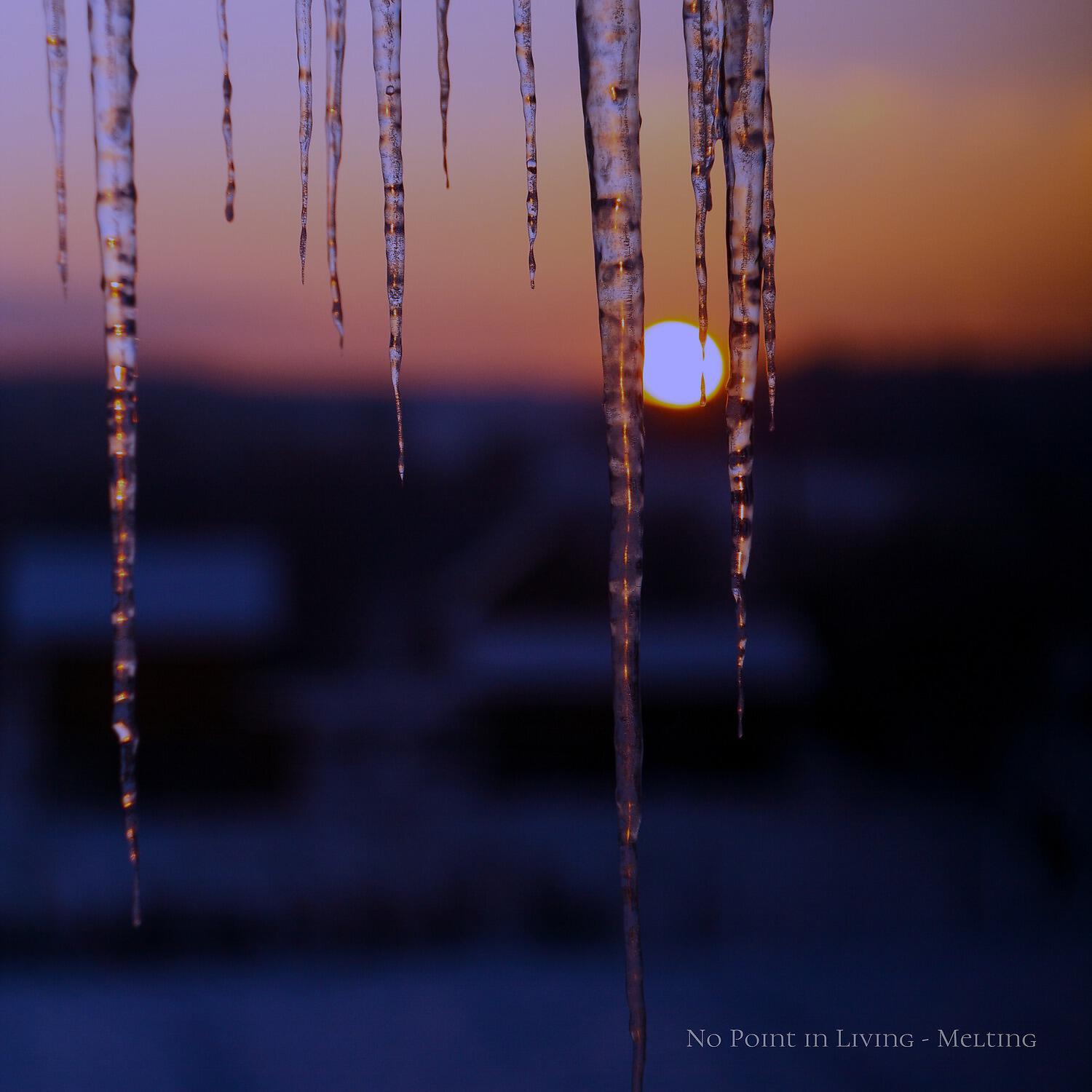 Альбом Melting исполнителя No Point in Living