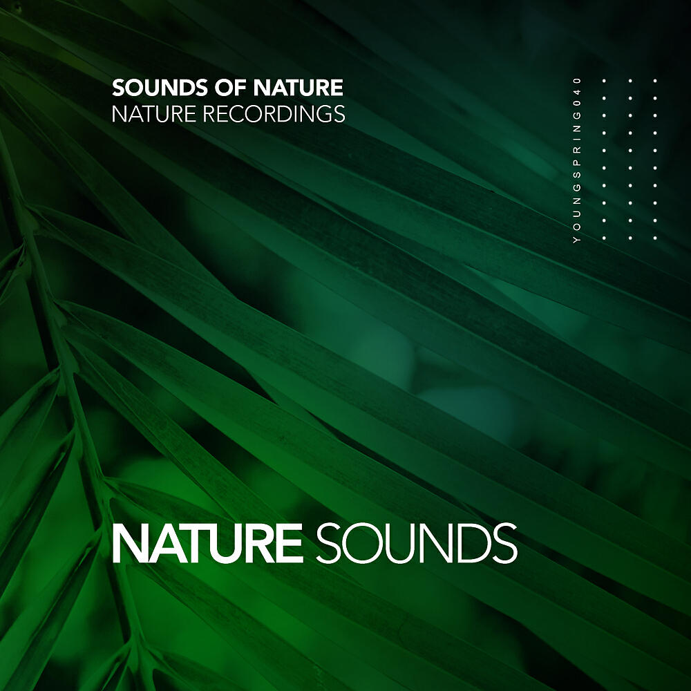 Sounds Of Nature - Stress Free (Original Mix)