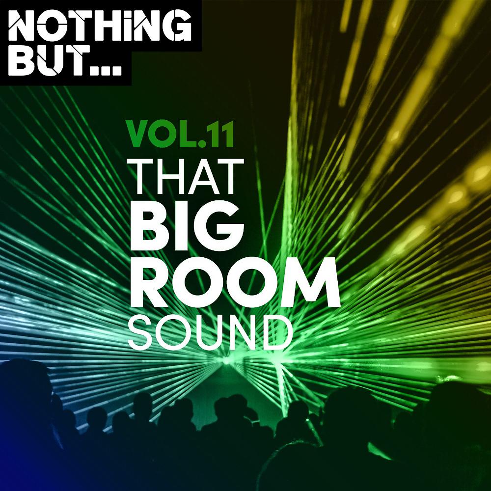 Постер альбома Nothing But... That Big Room Sound, Vol. 11