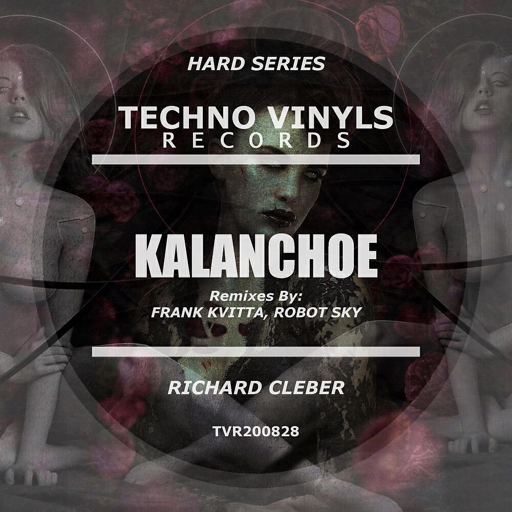 Richard Cleber - Bend Range (Original Mix)