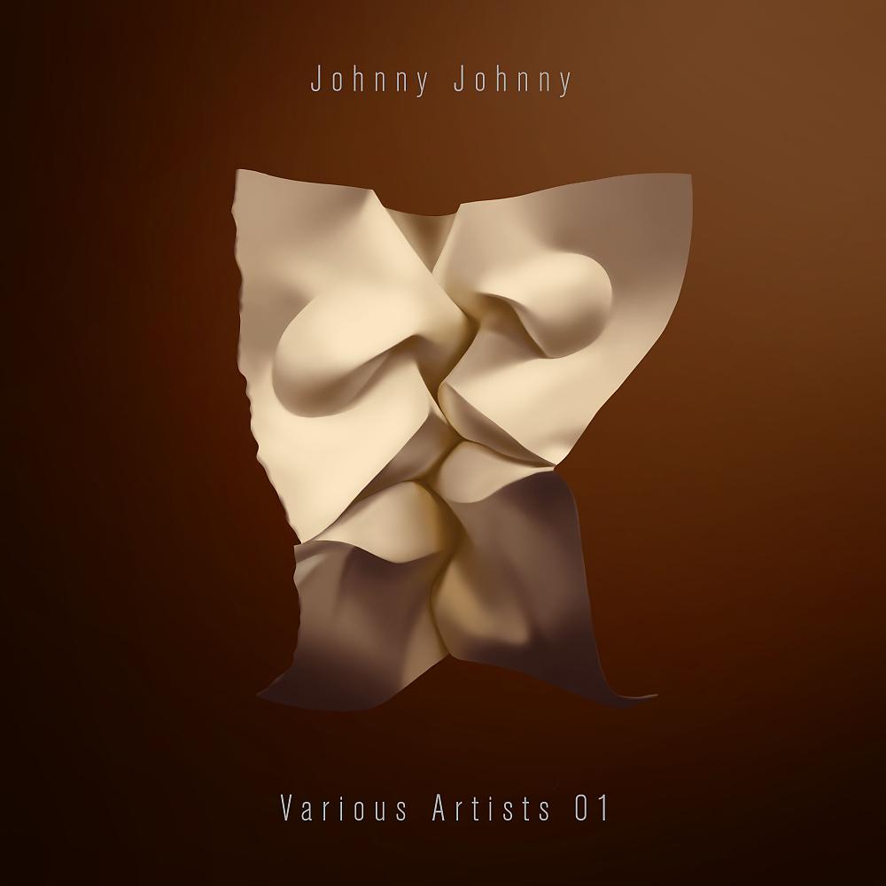 Постер альбома Johnny Johnny Various Artists 01