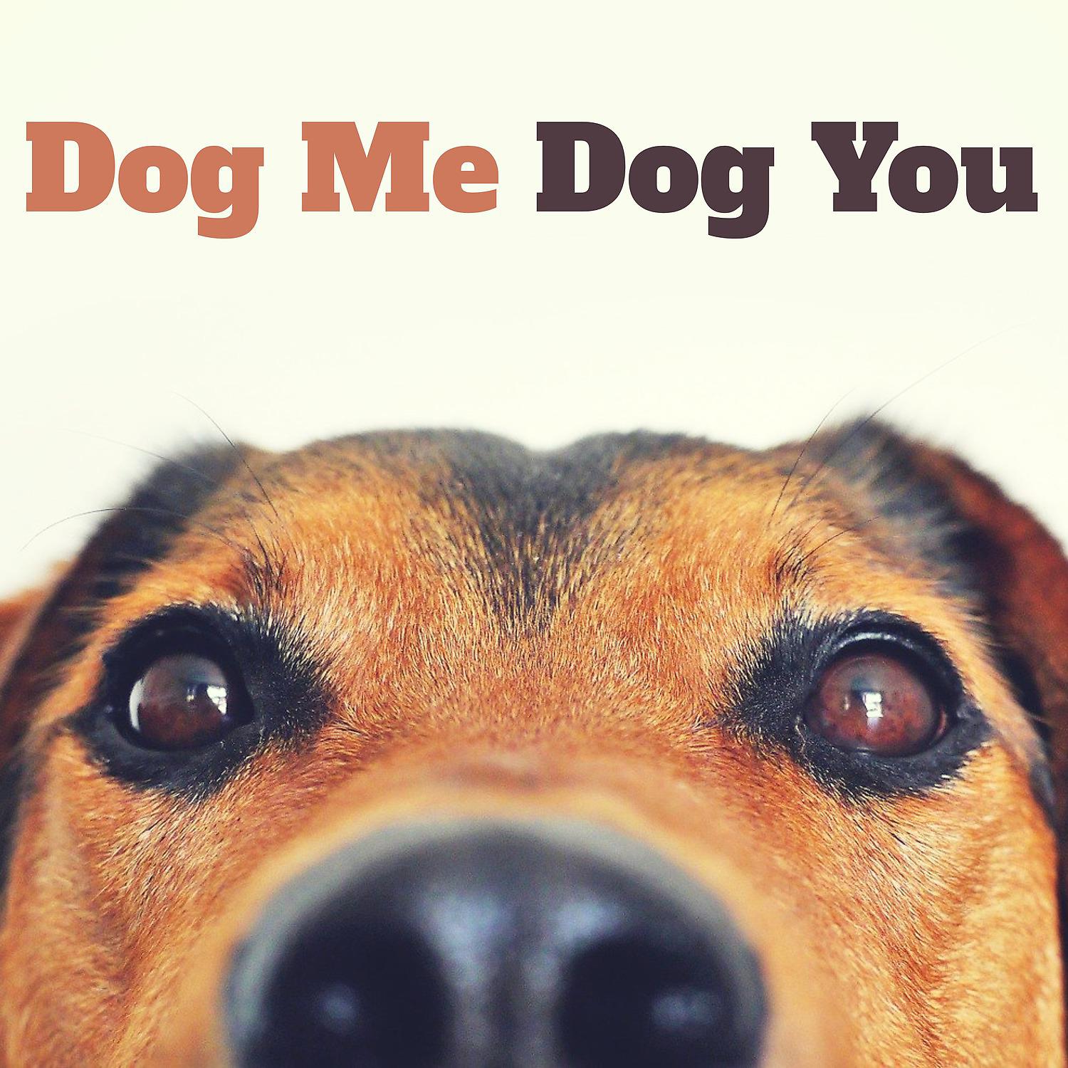 Постер альбома Dog Me, Dog You