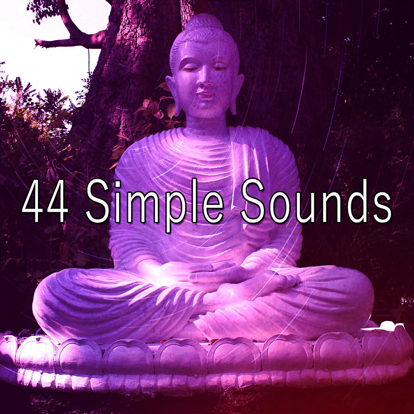 Asian Zen Spa Music Meditation - Process Information in Your Mind
