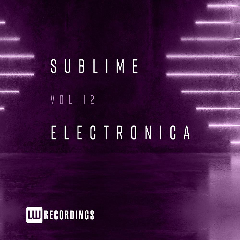 Постер альбома Sublime Electronica, Vol. 12