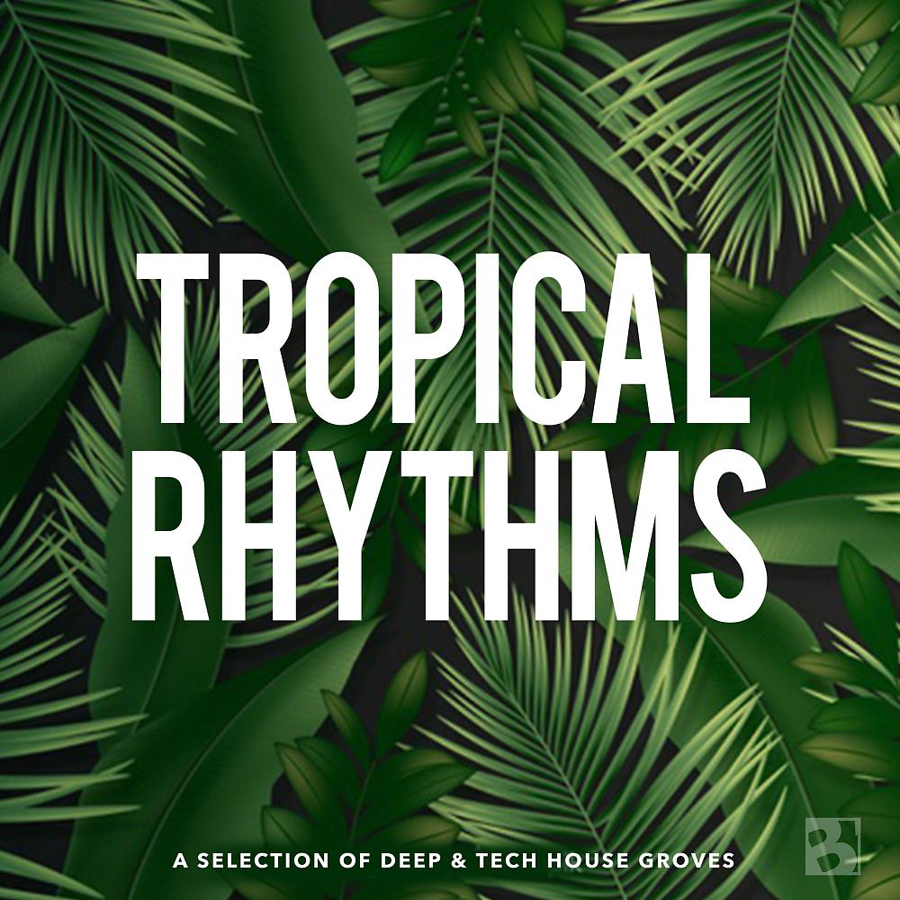 Постер альбома Tropical Rhythms