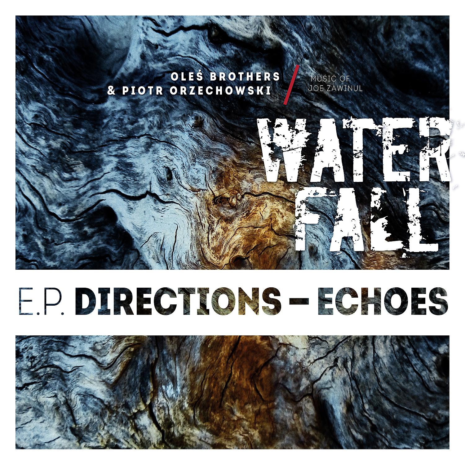 Постер альбома Directions - Echoes