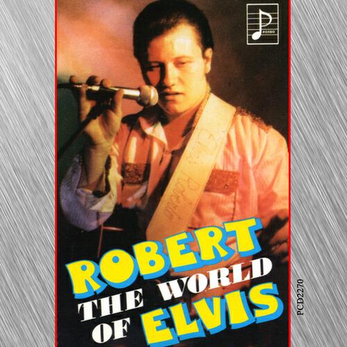 ROBERT - Fame and Fortune (Karaoke Version)