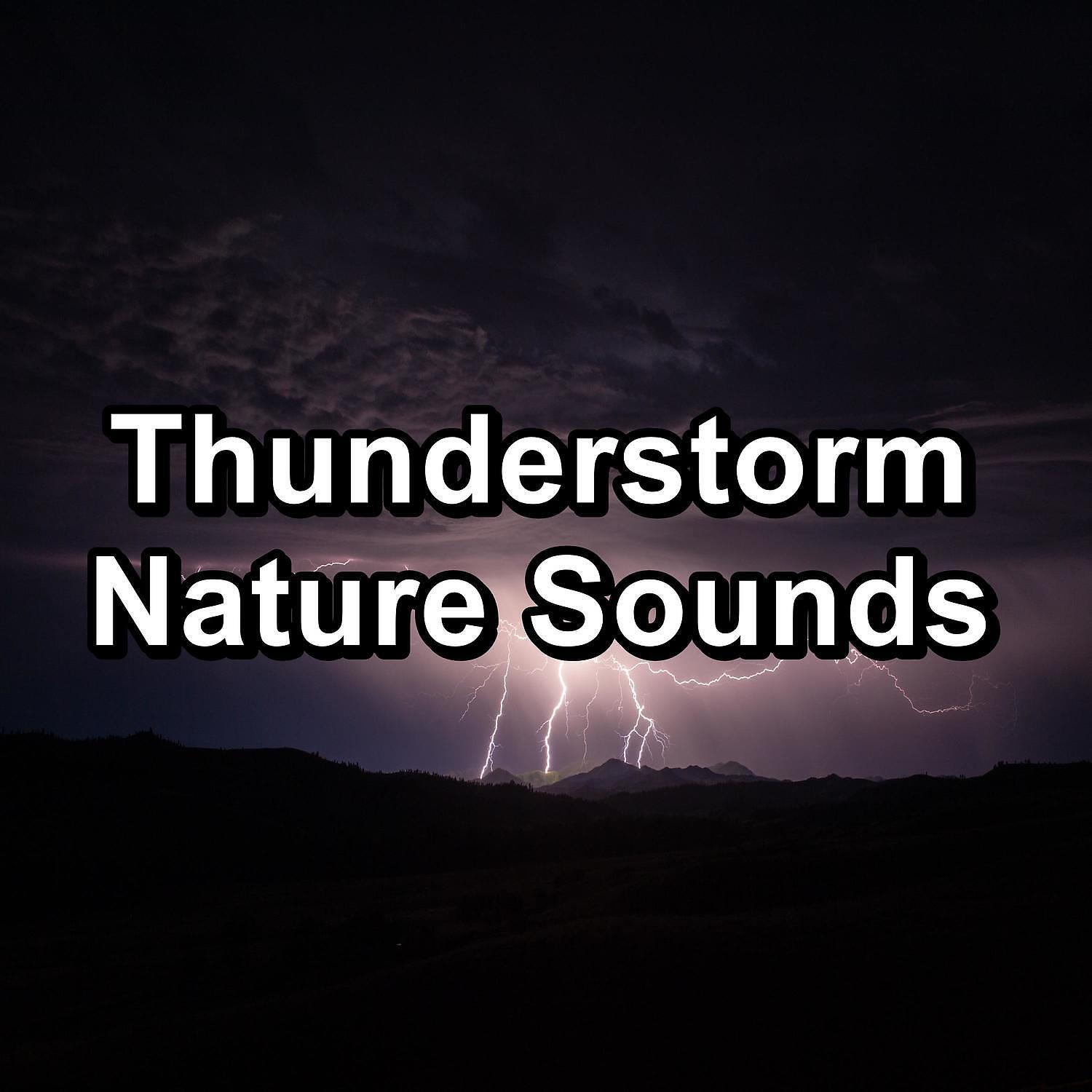 Rain Sounds Sleep - White Noise Rain with Nature Music with Sleeping Music