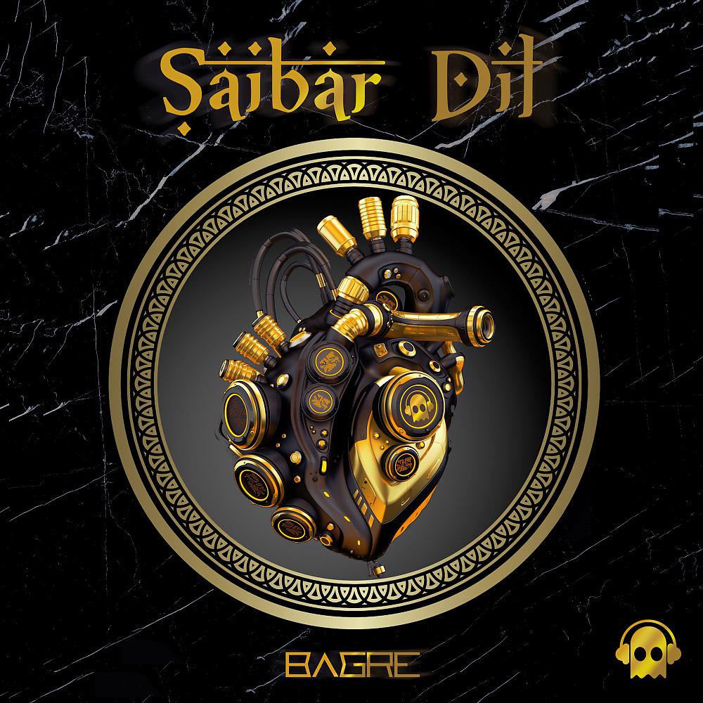 Постер альбома Saibar Dil