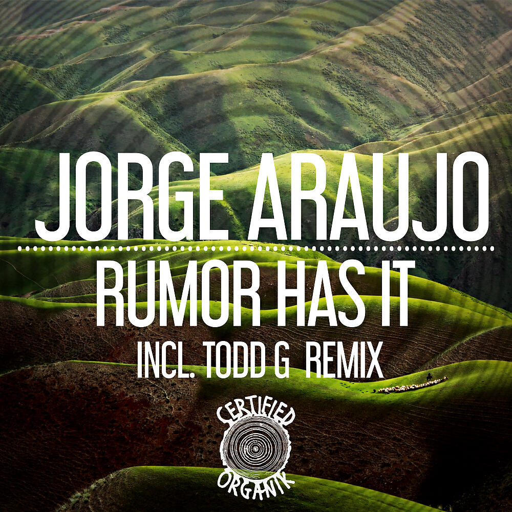 JORGE ARAUJO - Rumor Has It (Todd G Remix)