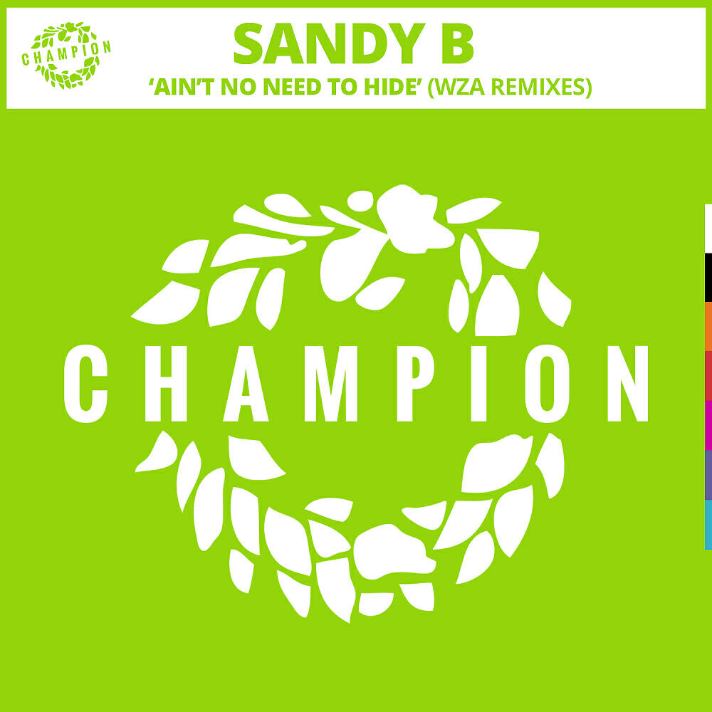 Sandy B - Ain't No Need To Hide (WZA Extended Remix)