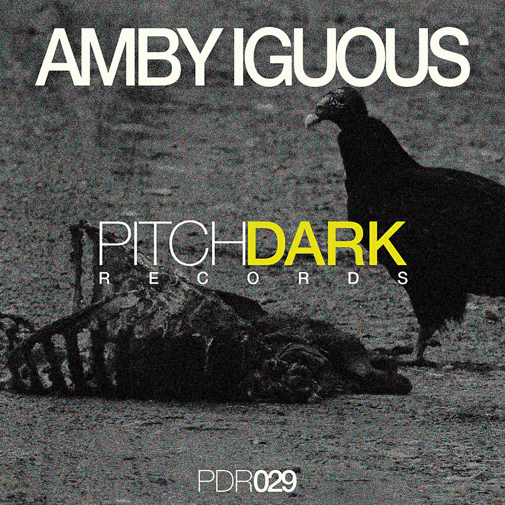 Amby Iguous - She (Patrick Dre Remix)
