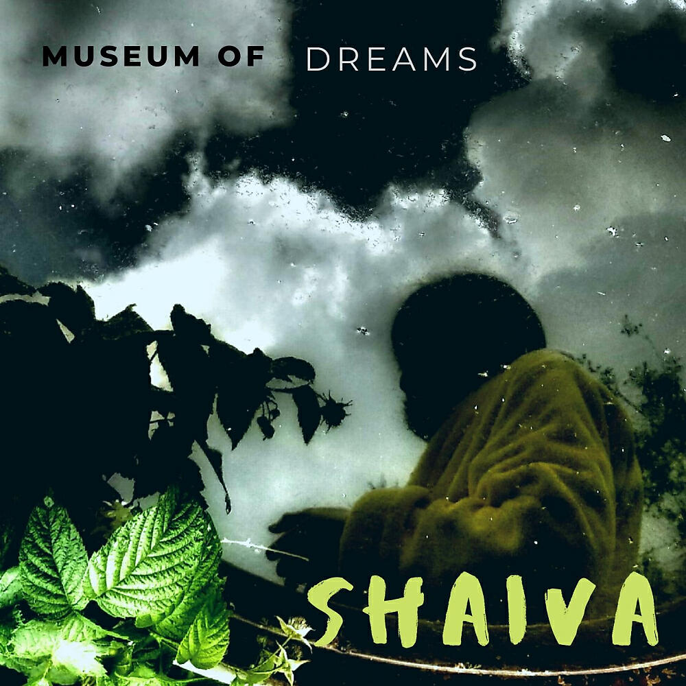 Shaiva - Bonch Bruevich Secret (Original Mix)