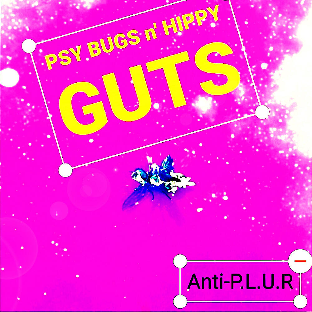 Anti-P.L.U.R - Psy Bugs N' Hippy Guts (Original Mix)