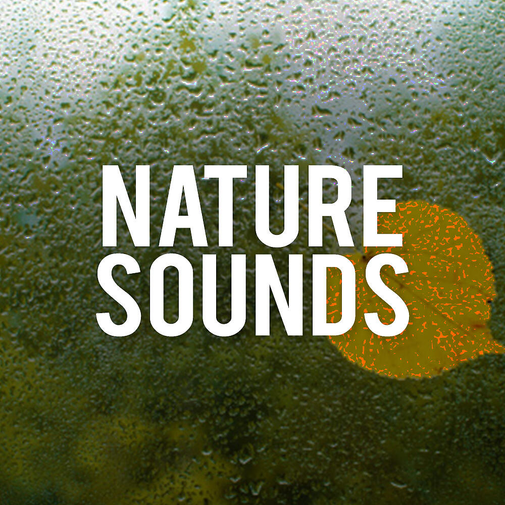 Nature Sounds - Reso White Noise (Original Mix)