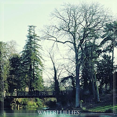 Постер альбома Bridge Over Troubled Waterllillies