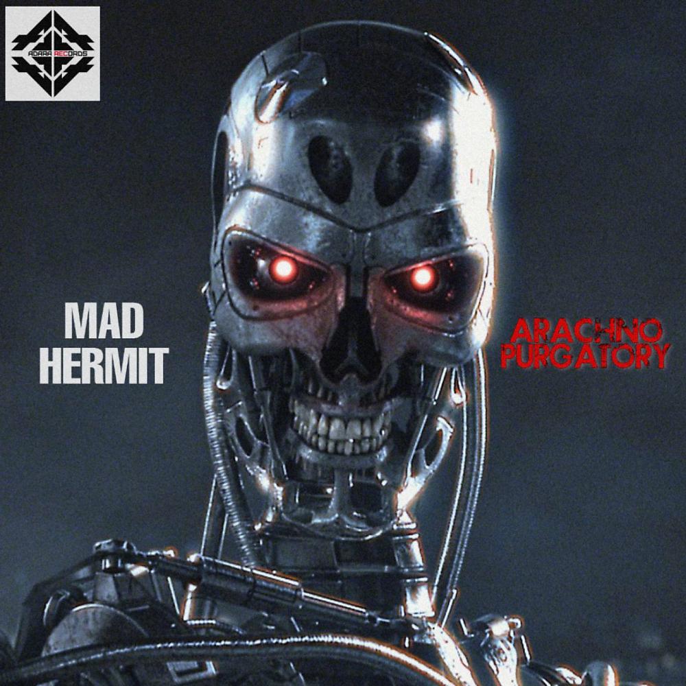 Постер альбома Mad Hermit