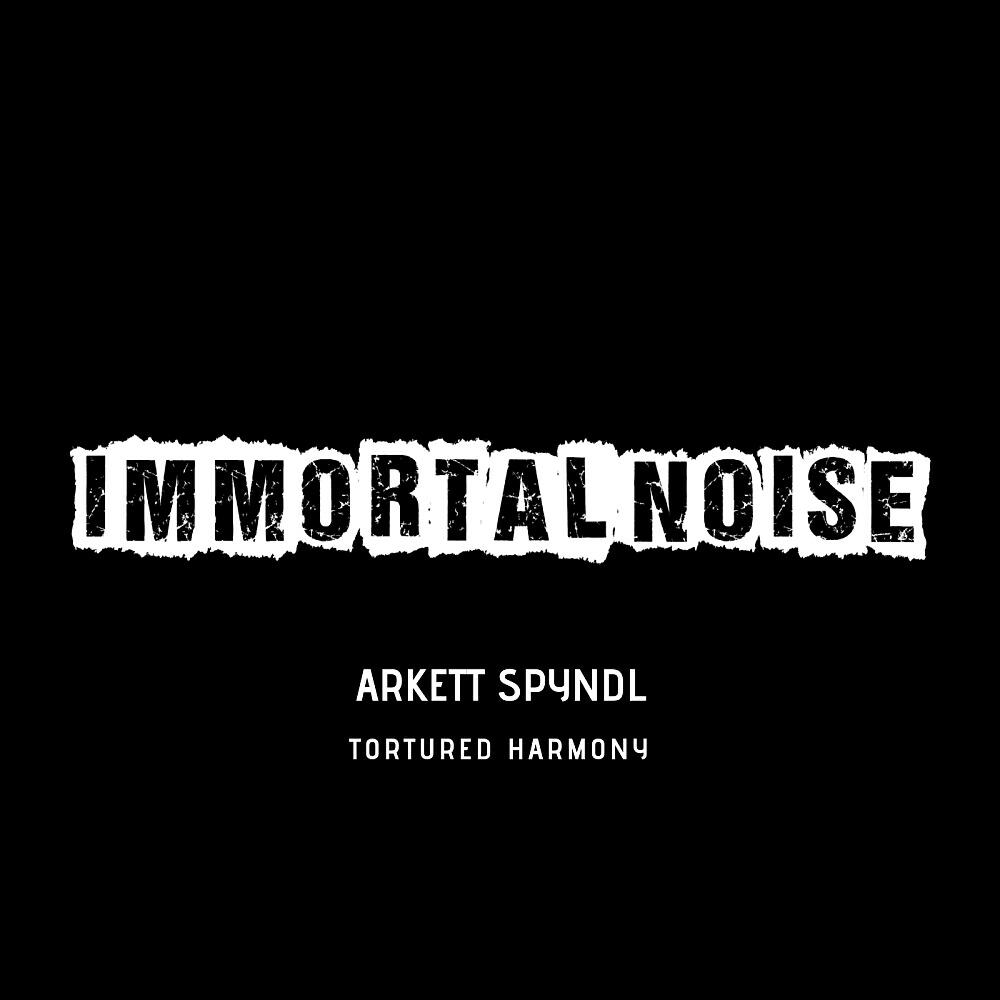 Arkett Spyndl - Tortured Harmony (Original Mix)