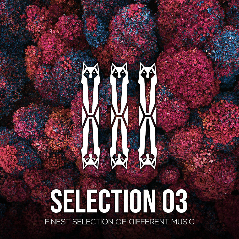Christian Bonori - Grus (Original Mix)