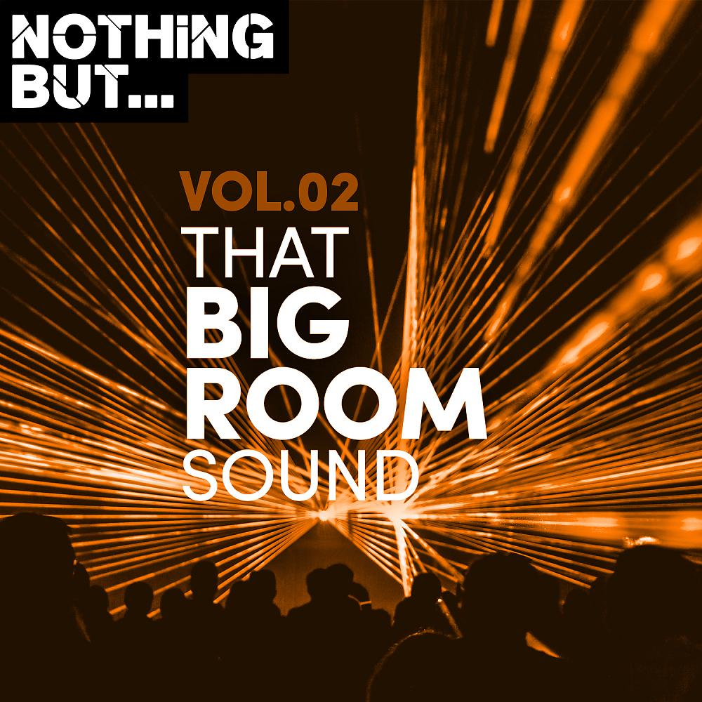Постер альбома Nothing But... That Big Room Sound, Vol. 02