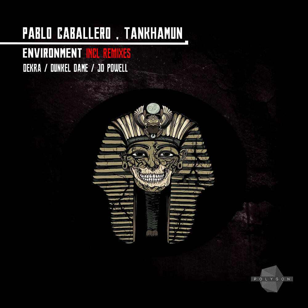 Pablo Caballero - Environment (Original Mix)