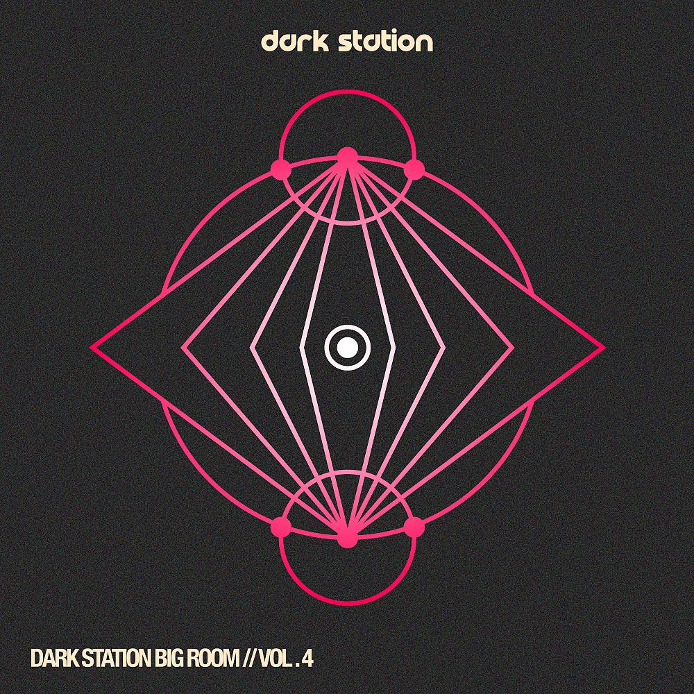 Постер альбома Dark Station Big Room, Vol.4