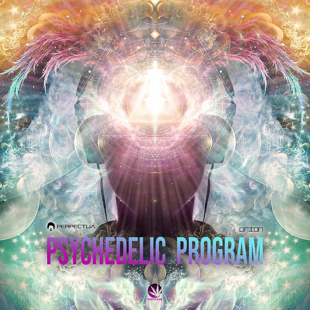 Постер альбома Psychedelic Program
