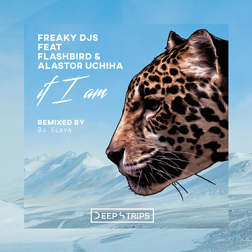 Freaky DJS - If I Am (Dj Slava Remix)