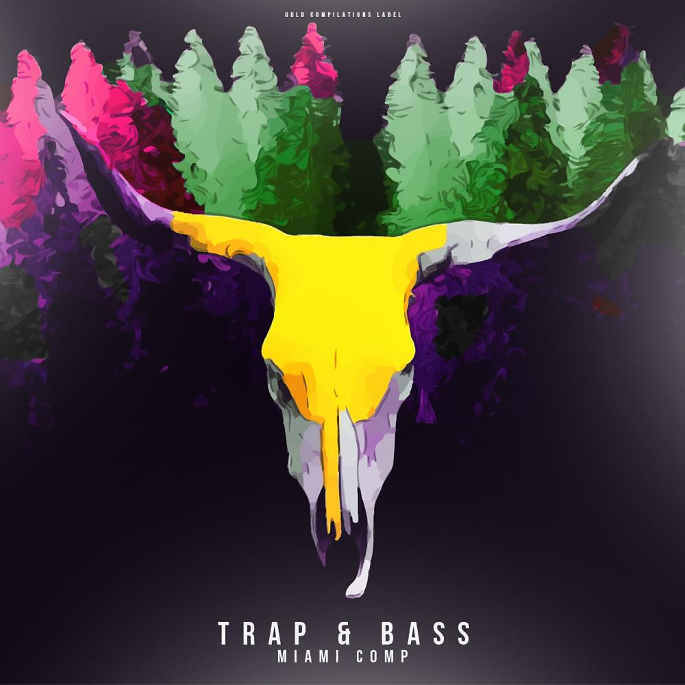 Постер альбома Trap & Bass Miami Comp
