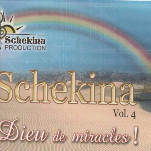 Постер альбома Schekina, vol. 4