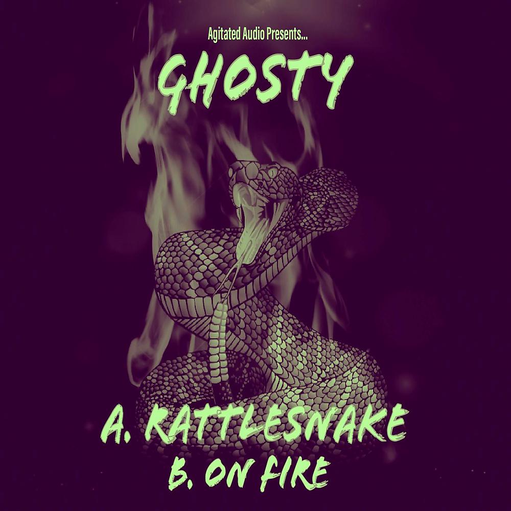 Постер альбома Rattlesnake / On Fire