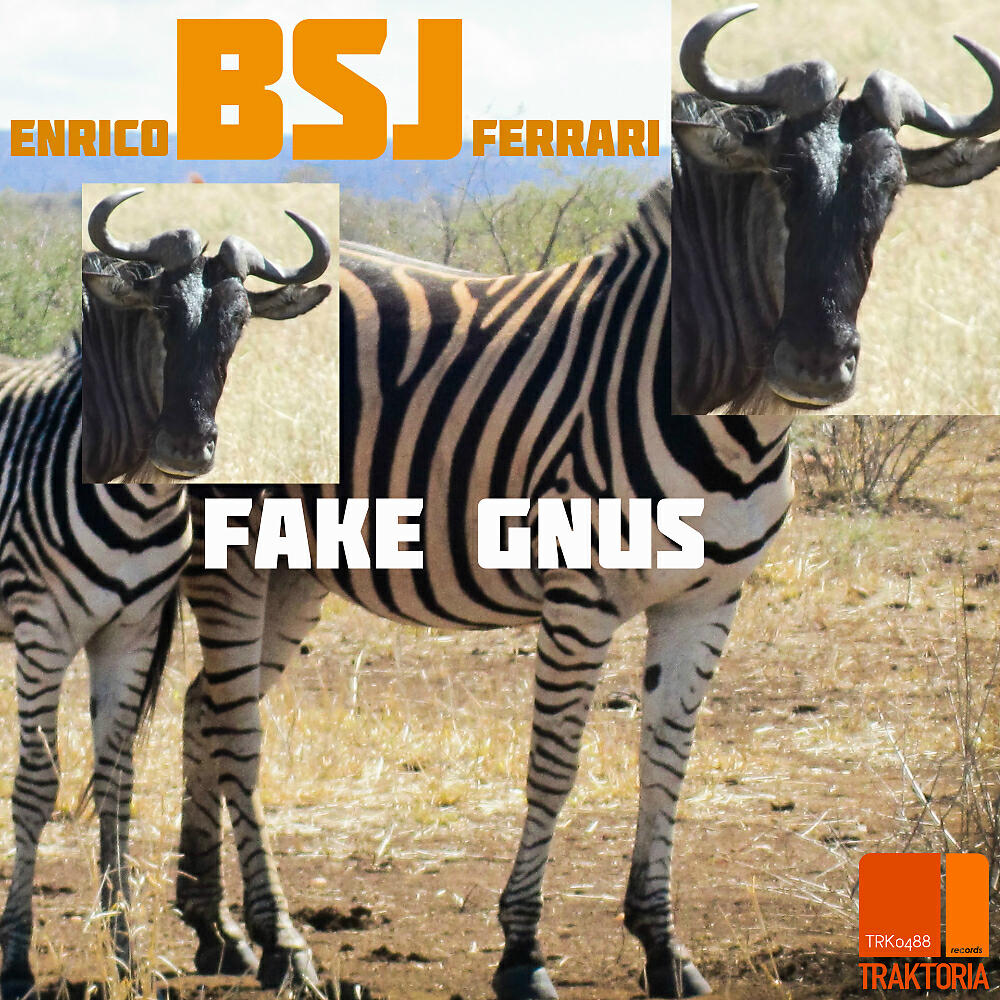 Enrico BSJ Ferrari - Fake Gnus (Original Mix)