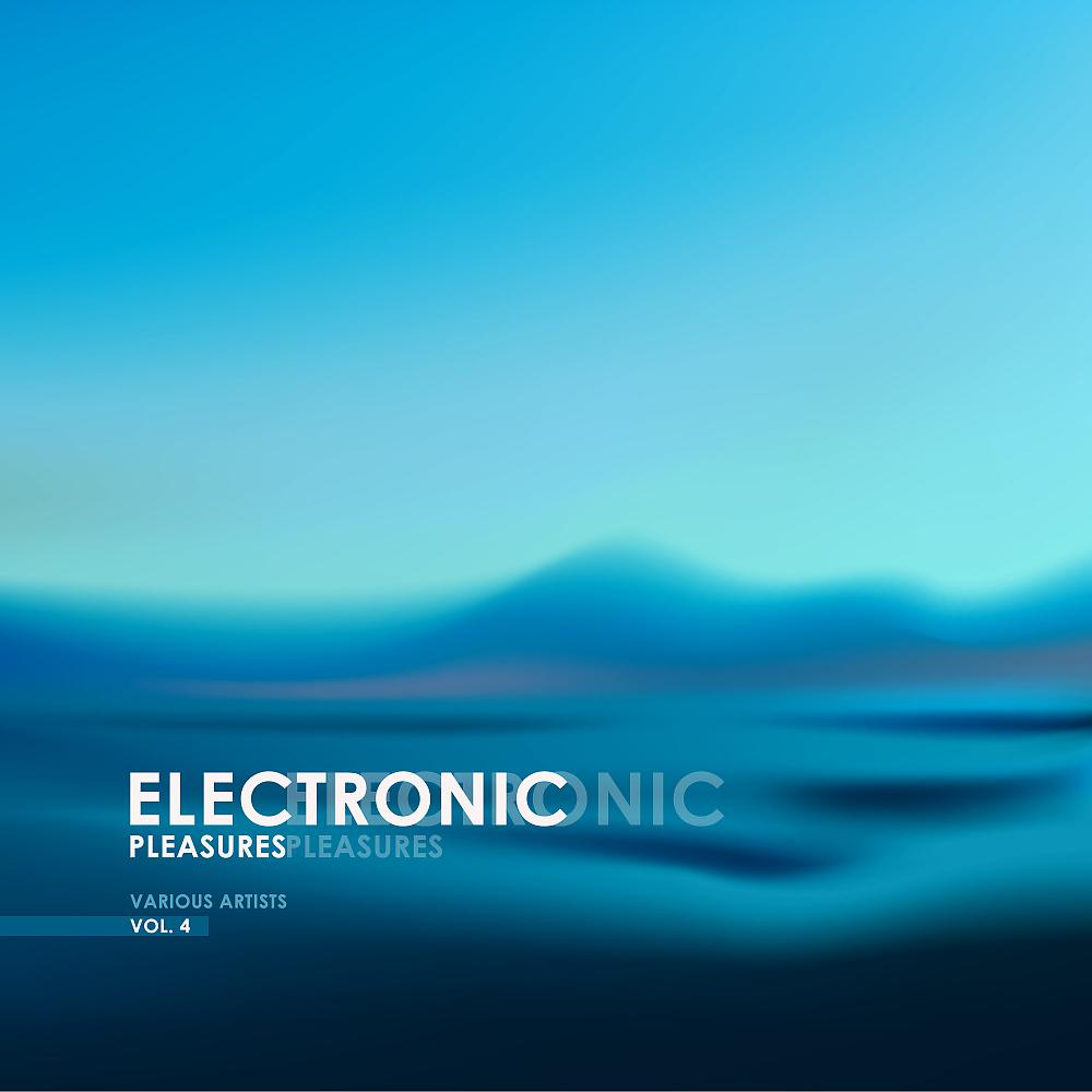 Постер альбома Electronic Pleasures, Vol. 4