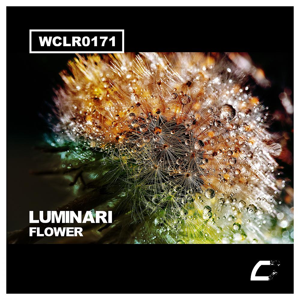 Постер альбома Flower (Extended Mix)