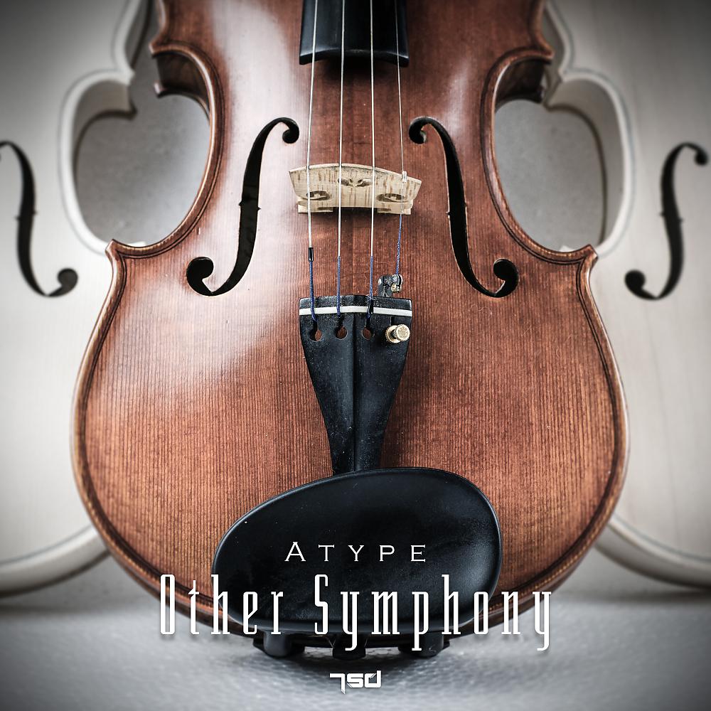 Постер альбома Other Symphony