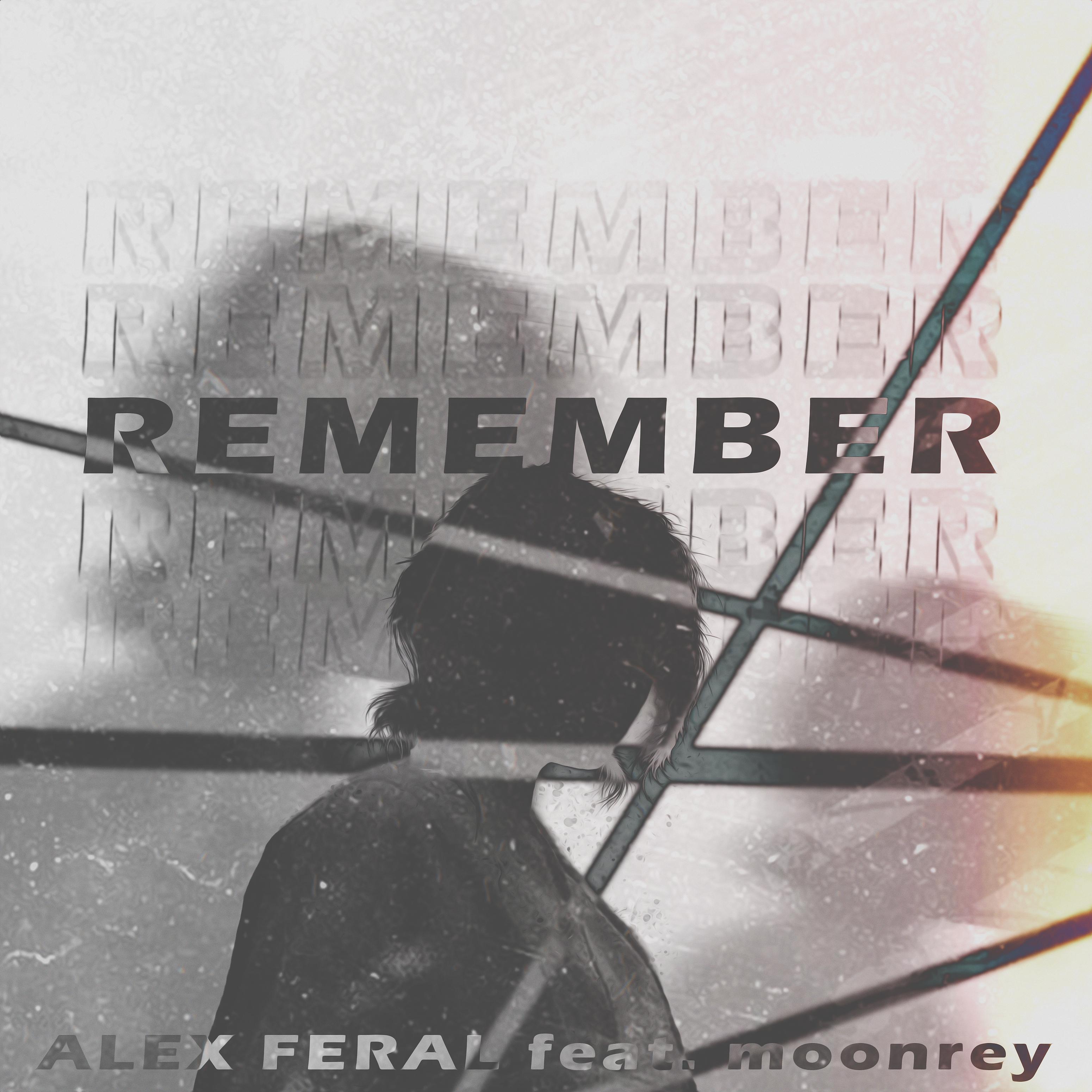 Постер альбома Remember (feat. Moonrey)