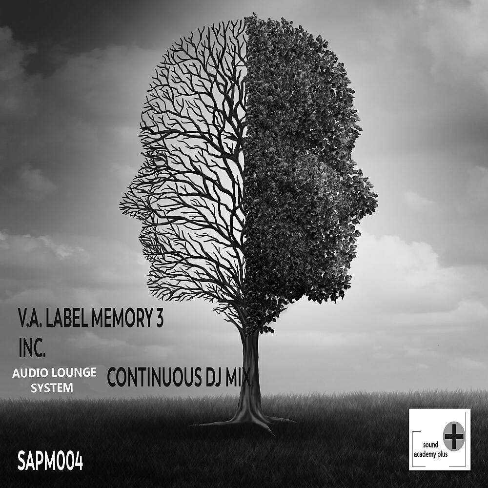 Audio Lounge System - Label Memory 3 (Continuous DJ Mix)