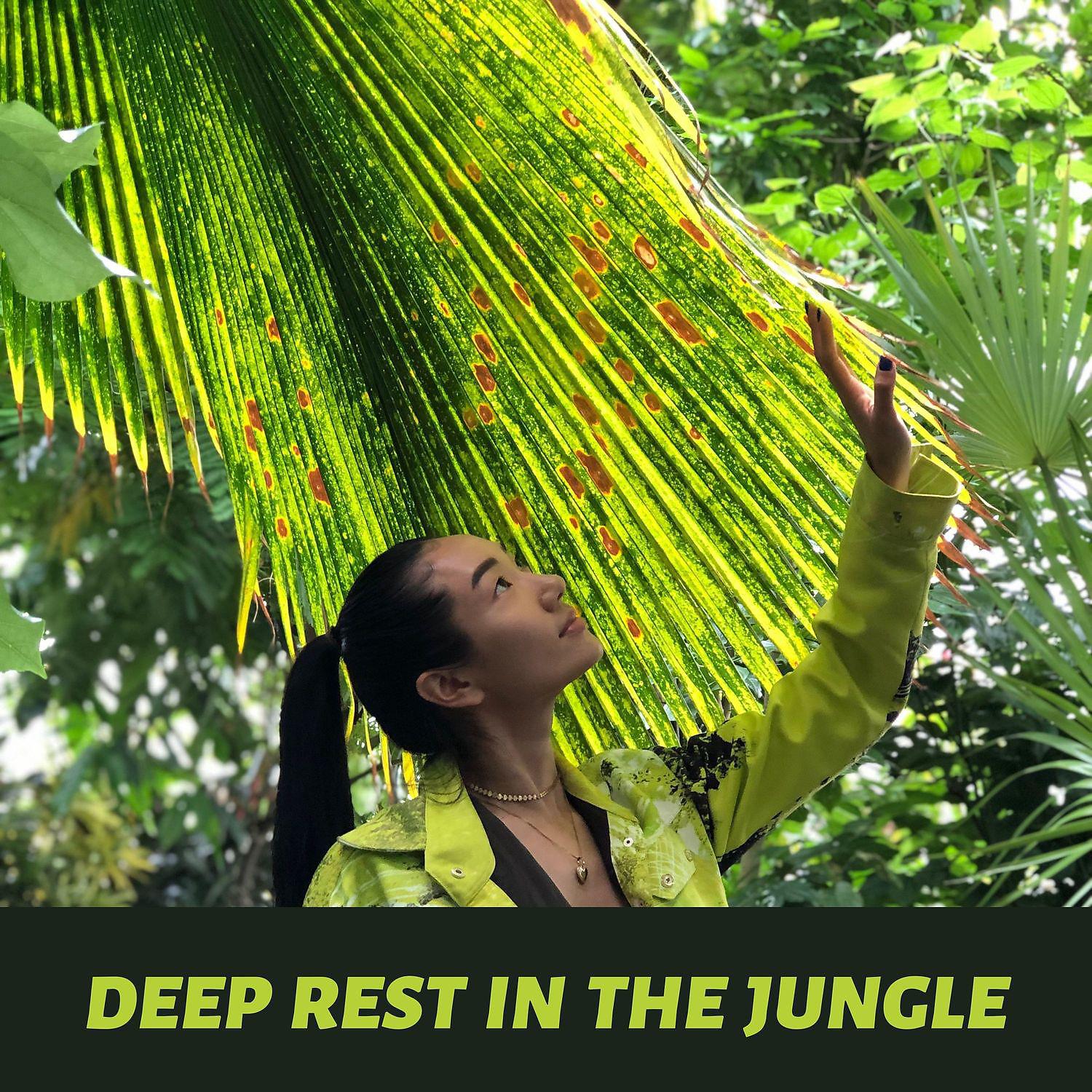 Постер альбома Deep Rest in the Jungle