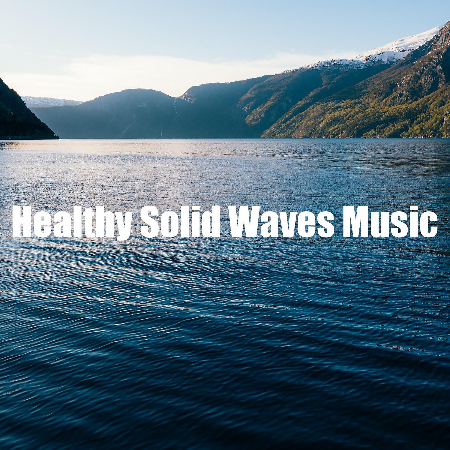 Постер альбома Healthy Solid Waves Music