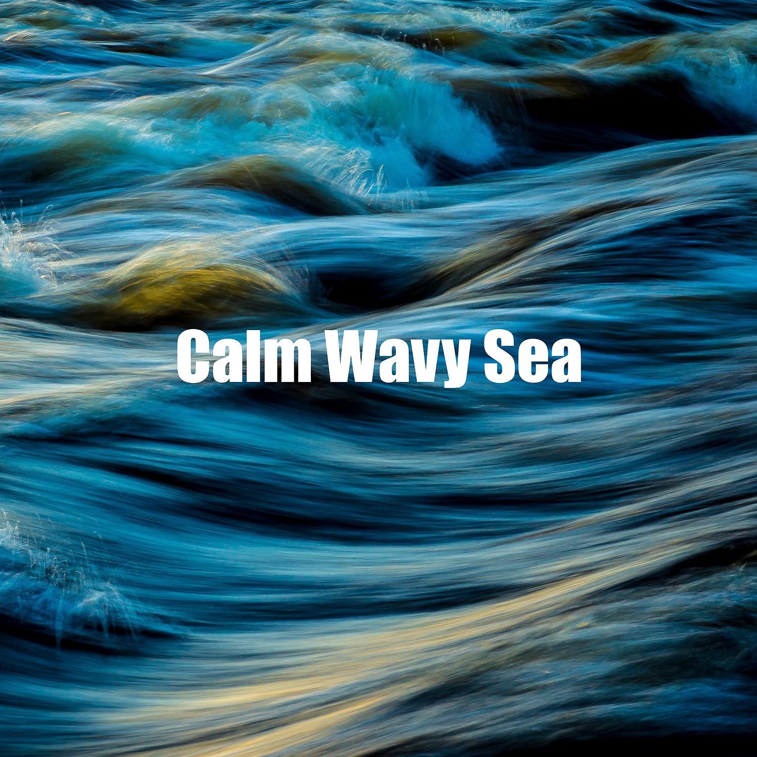 Постер альбома Calm Wavy Sea