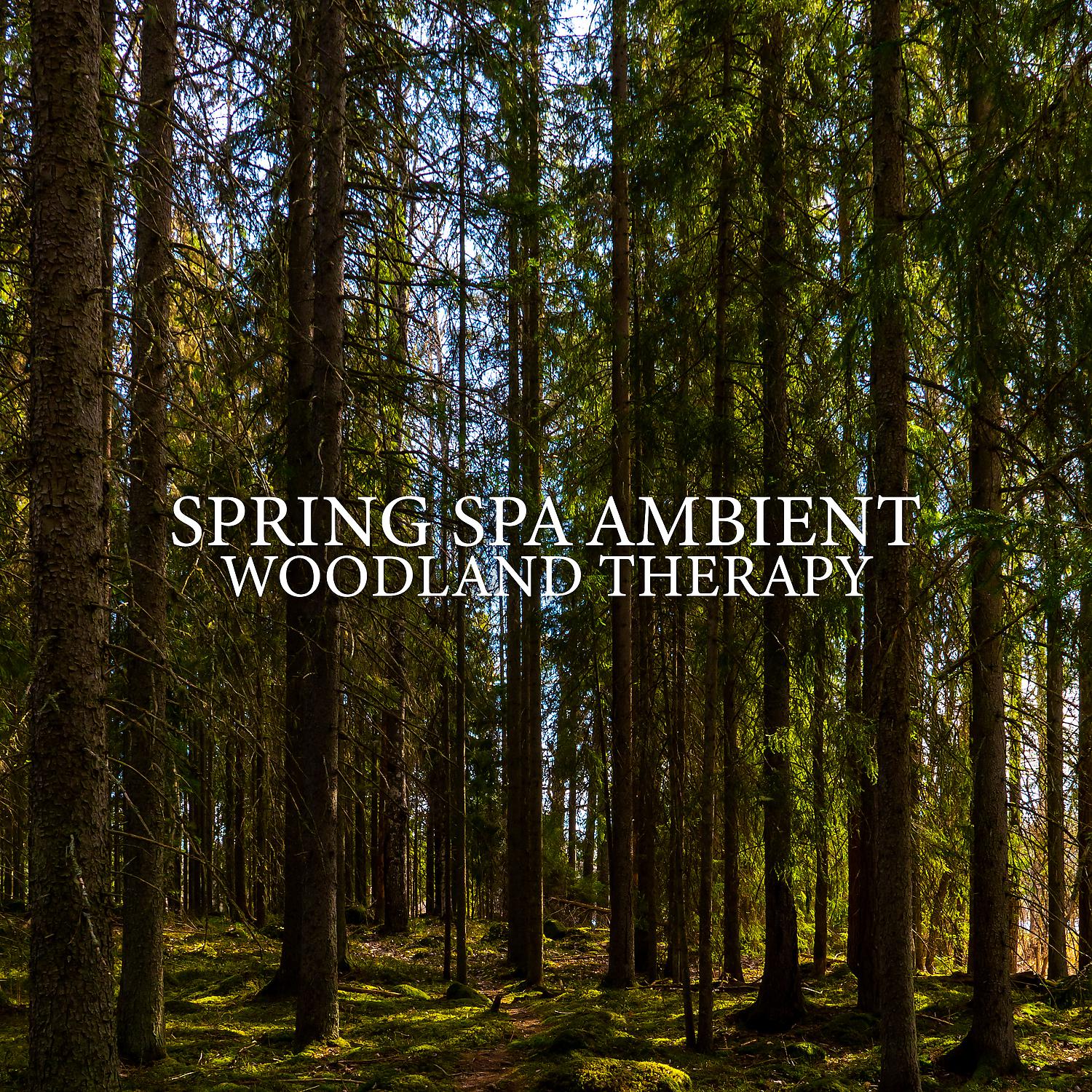 Постер альбома Spring Spa Ambient: Woodland Therapy - Healing Forest Music and Chirping Bird Sounds, Relaxation Away from the City Noise