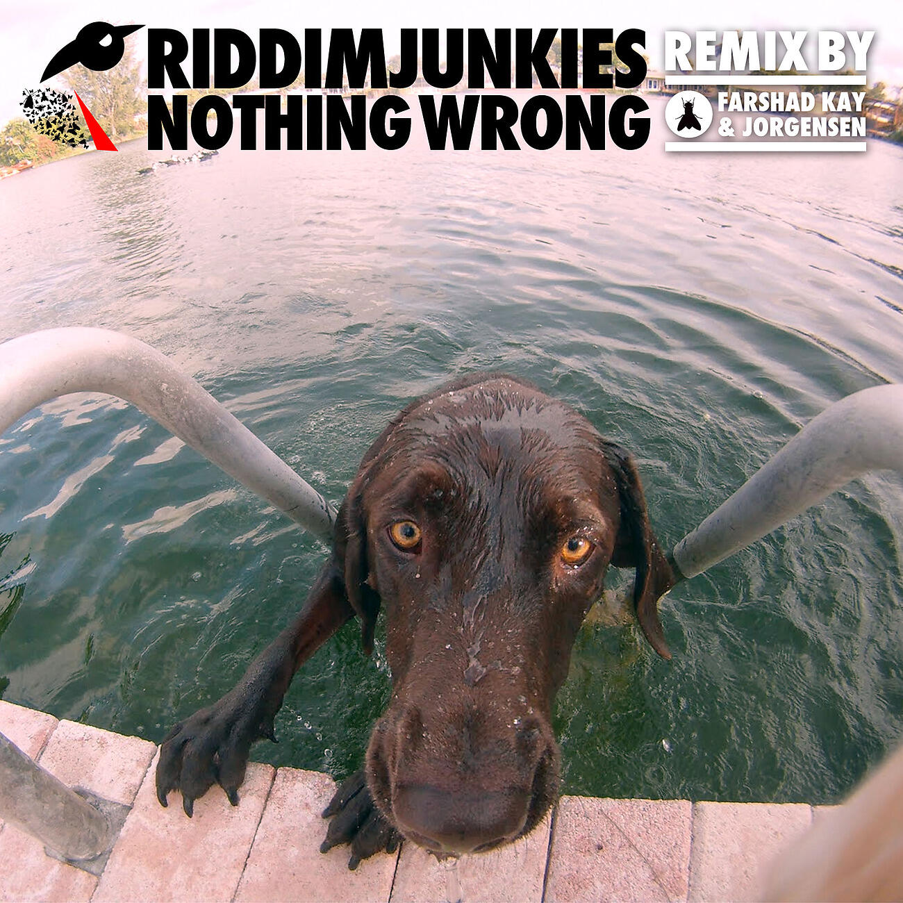 Riddimjunkies - Nothing Wrong (Farshad Kay & Jorgensen)