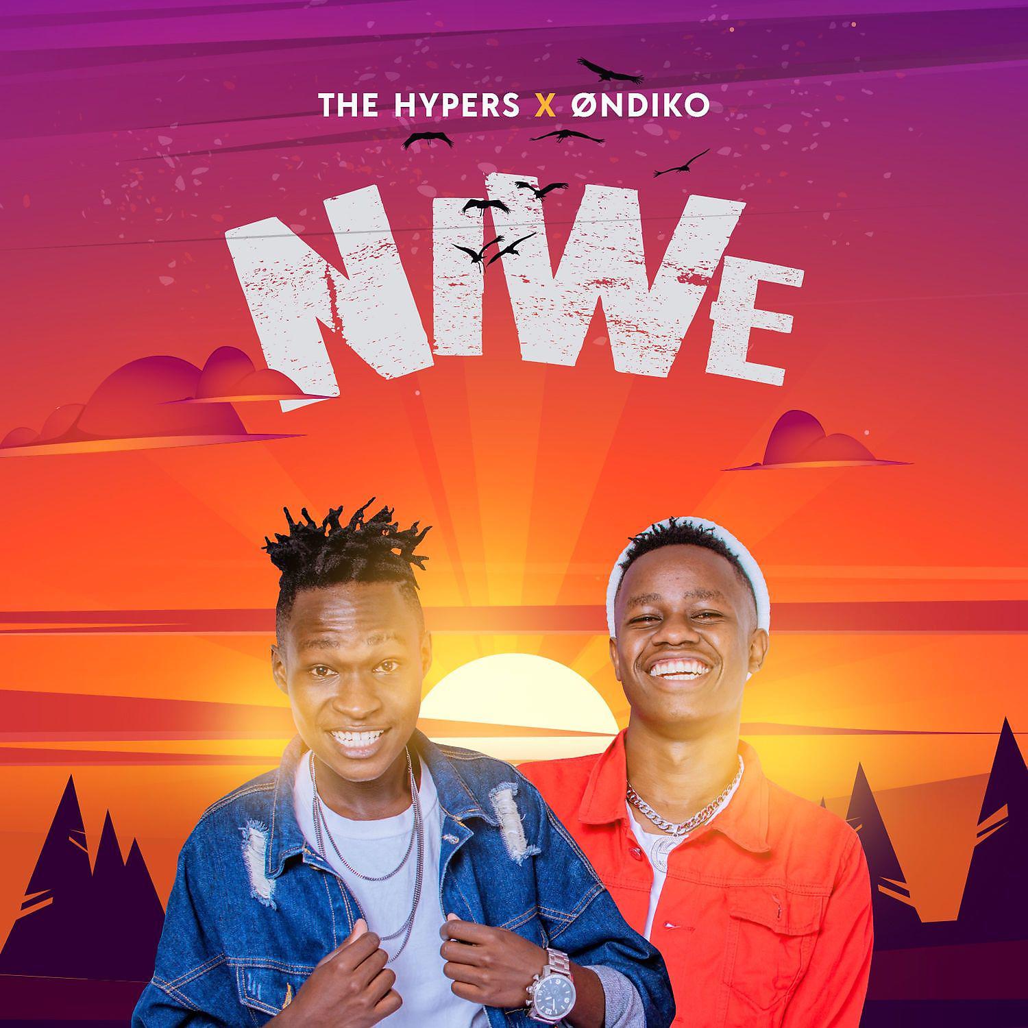 Постер альбома Niwe