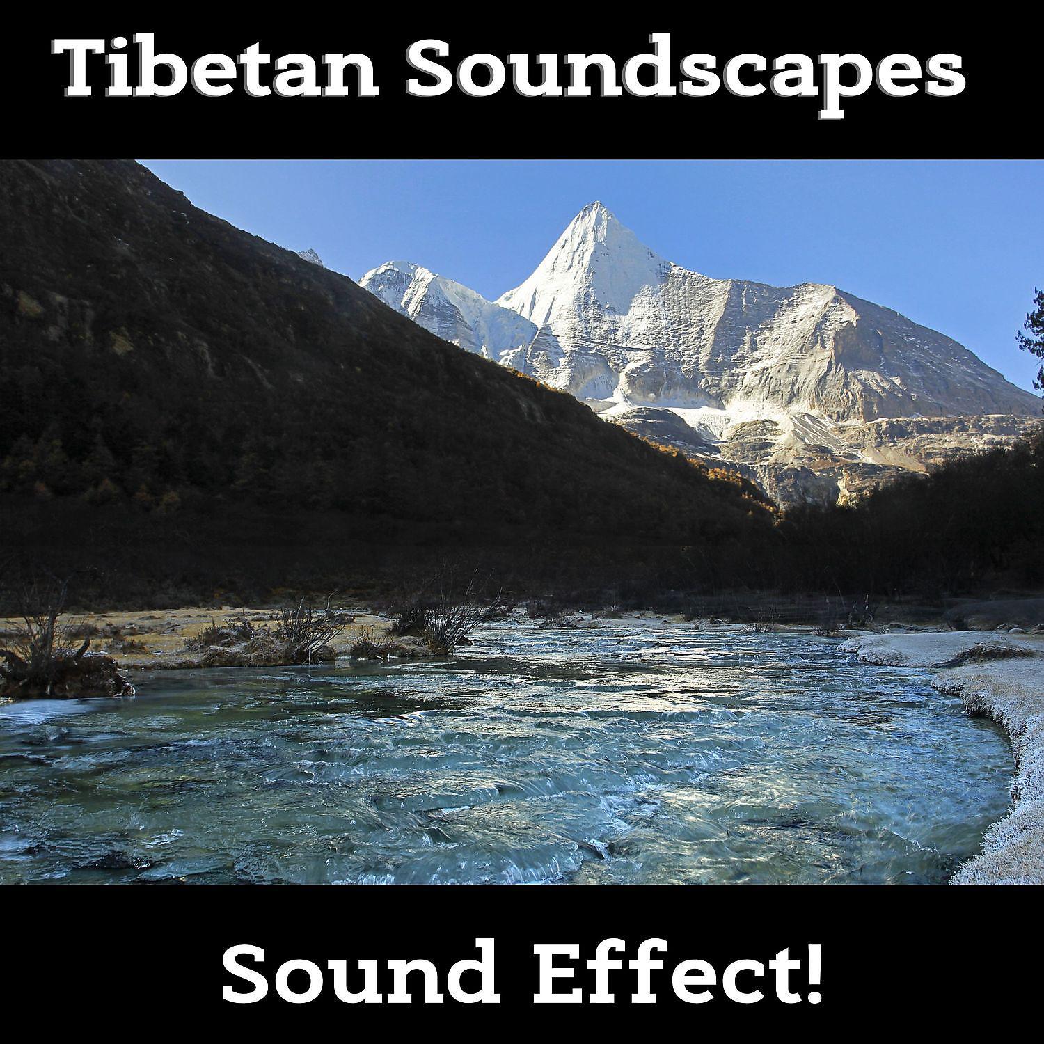 Постер альбома Natural Tibetan Soundscapes - Nature Sounds