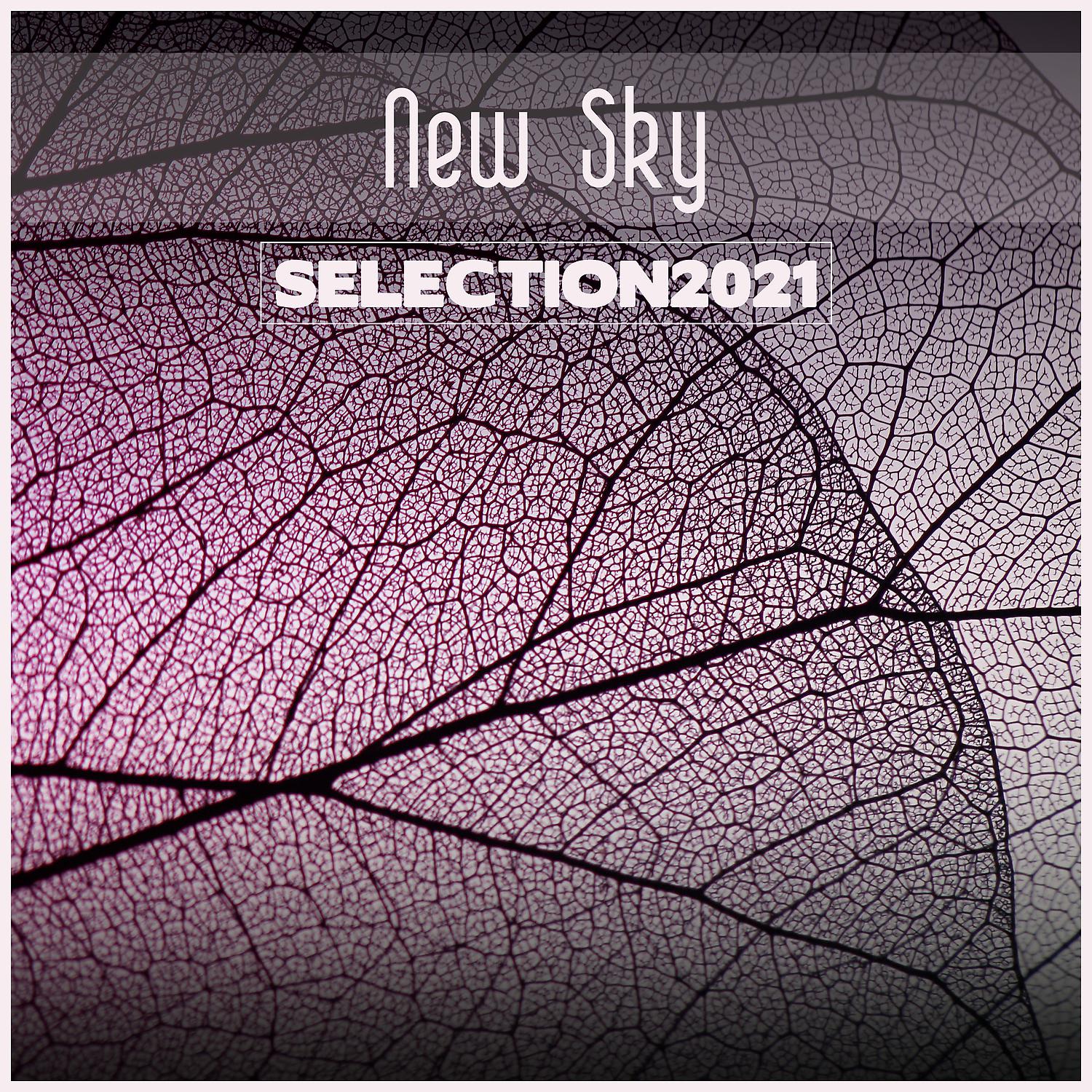 Постер альбома New Sky Selection 2021