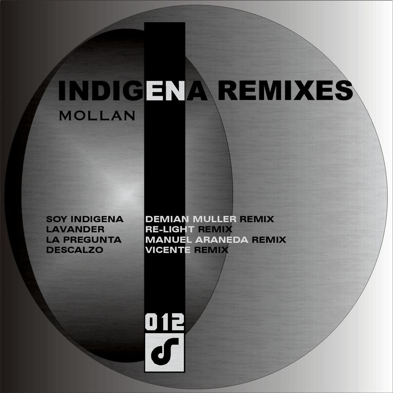 Mollan - Yo Soy Indigena (Demian Muller Remix)