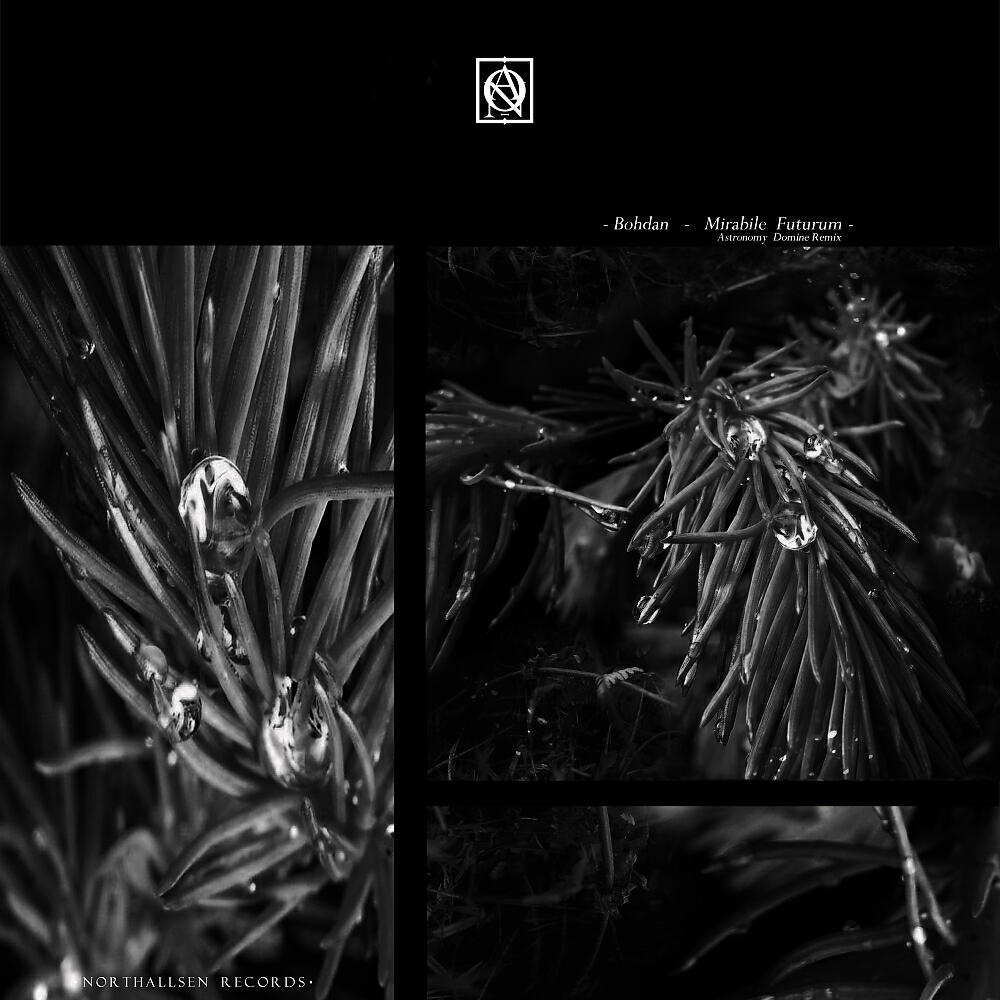 Bohdan - Mandelbrot Set (Original Mix)