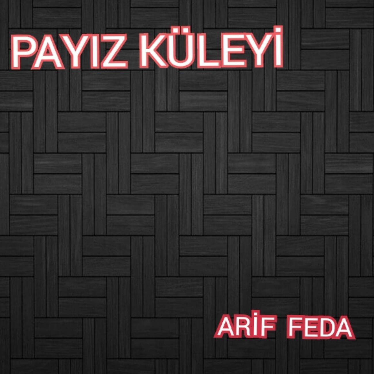 Arif Feda - Qaranlıq Gece